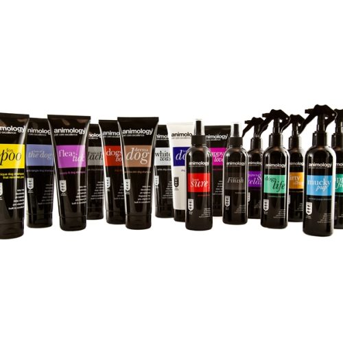 Digital Printing on PE